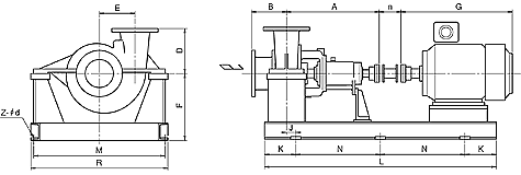 Process Pump