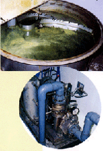 Enhanced Self-Priming Pump For transferring food