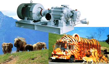 Multistage Self-Priming Pump / Water supply pump for Oita Safari Park