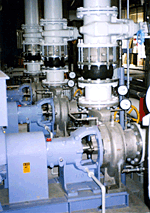 Wafer-Type Check Valve