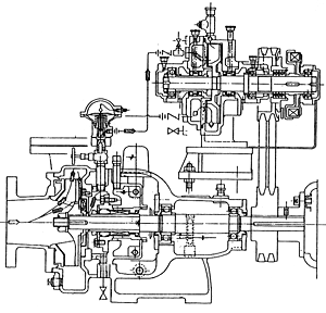 UHNS type structural view