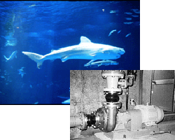 自吸式ポンプ UHN 水族館 水族館で続々ご採用 ヨコタ YST 合金製海水ポンプ